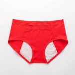 Cotton Leak Proof Period Panty - Image 5